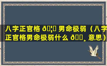 八字正官格 🦁 男命极弱（八字正官格男命极弱什么 🌸 意思）